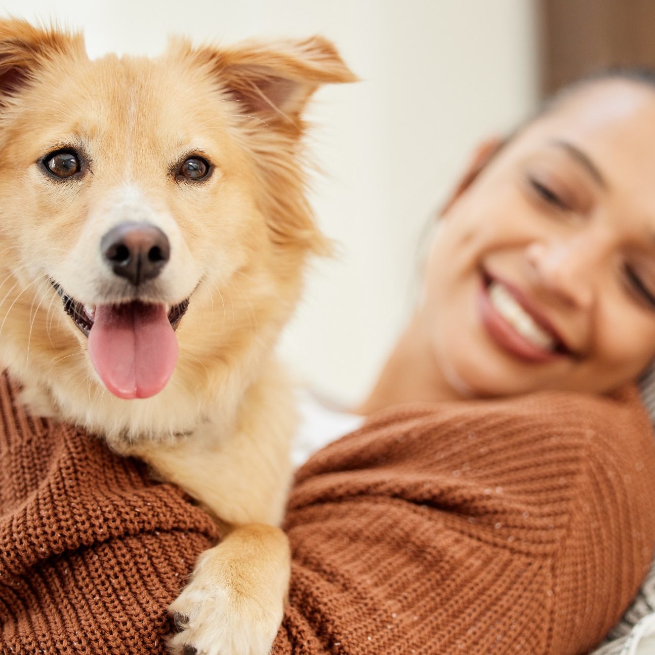 Smiling woman holding a happy dog in her arms, both looking relaxed and content.