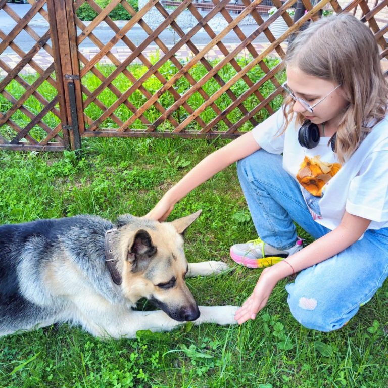 A girl in casual clothes gently interacts with a German Shepherd on the grass.